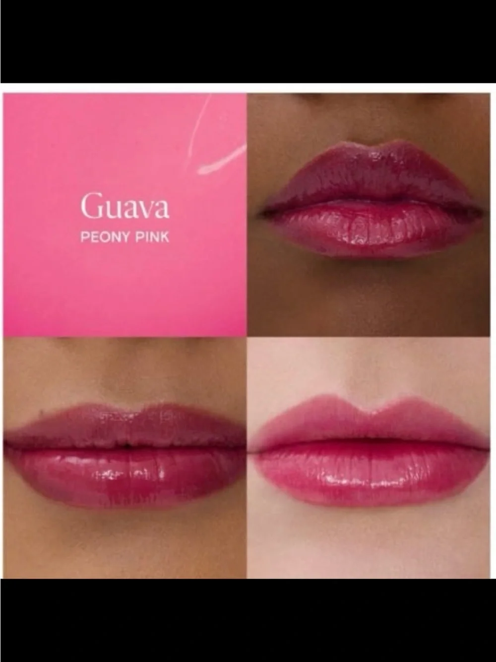 Kulfi Lassi Lips Staining Lipgloss Lipstick in Guava BNIB